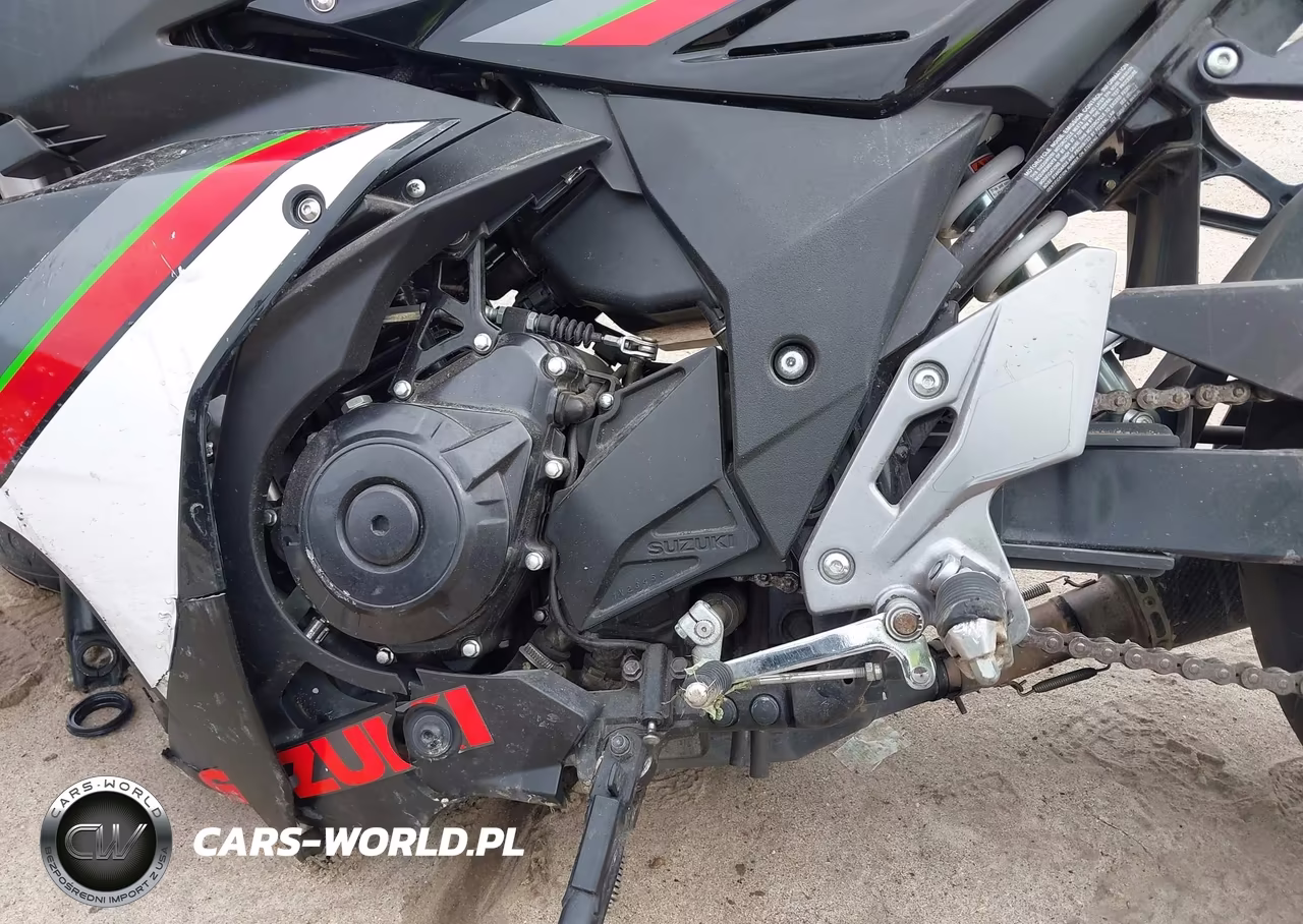 2019 Suzuki Gsx250R M-Zm-Za VIN:LC6DN11A0K1100303 - 9