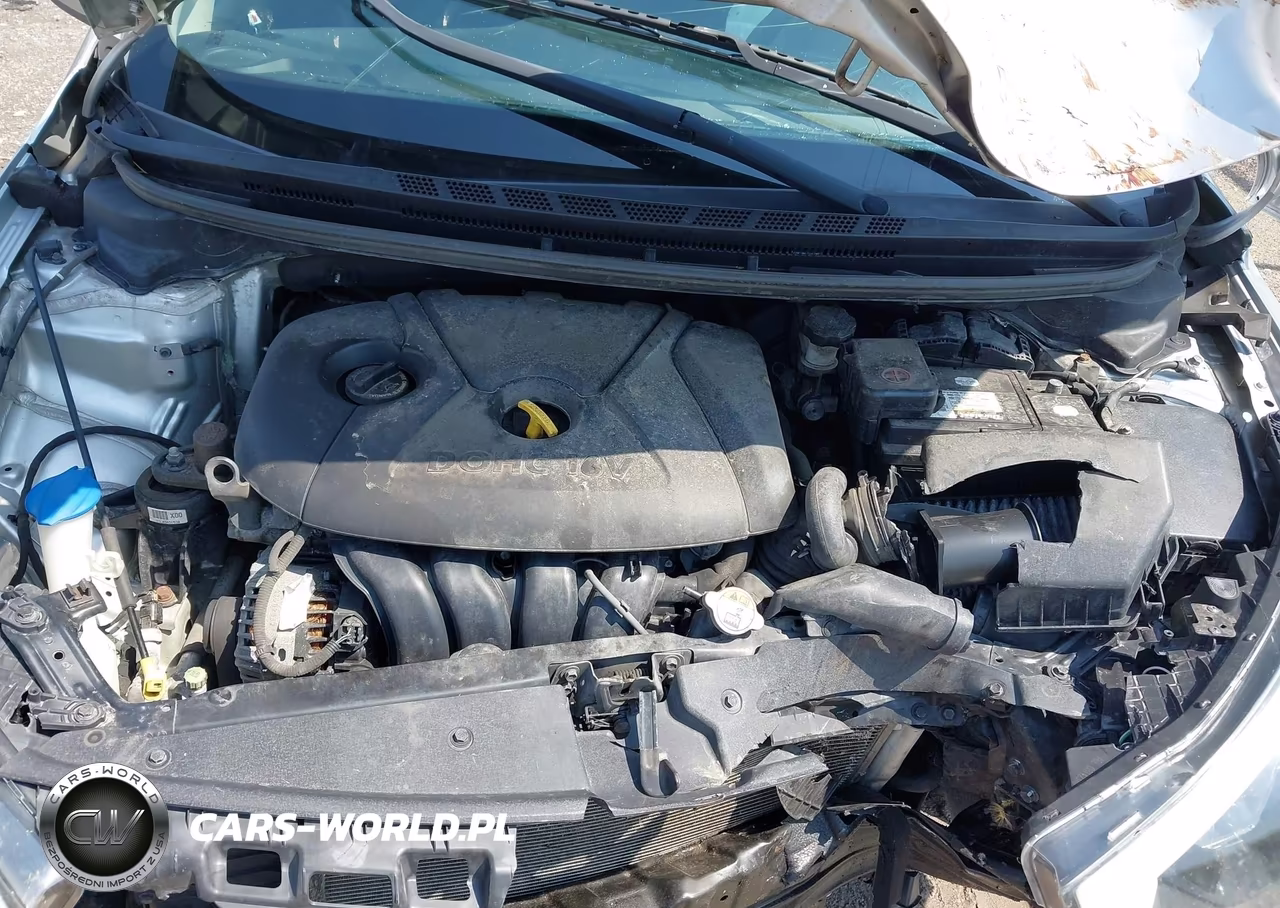 2014 Kia Forte Lx VIN:KNAFK4A6XE5184630 - 10