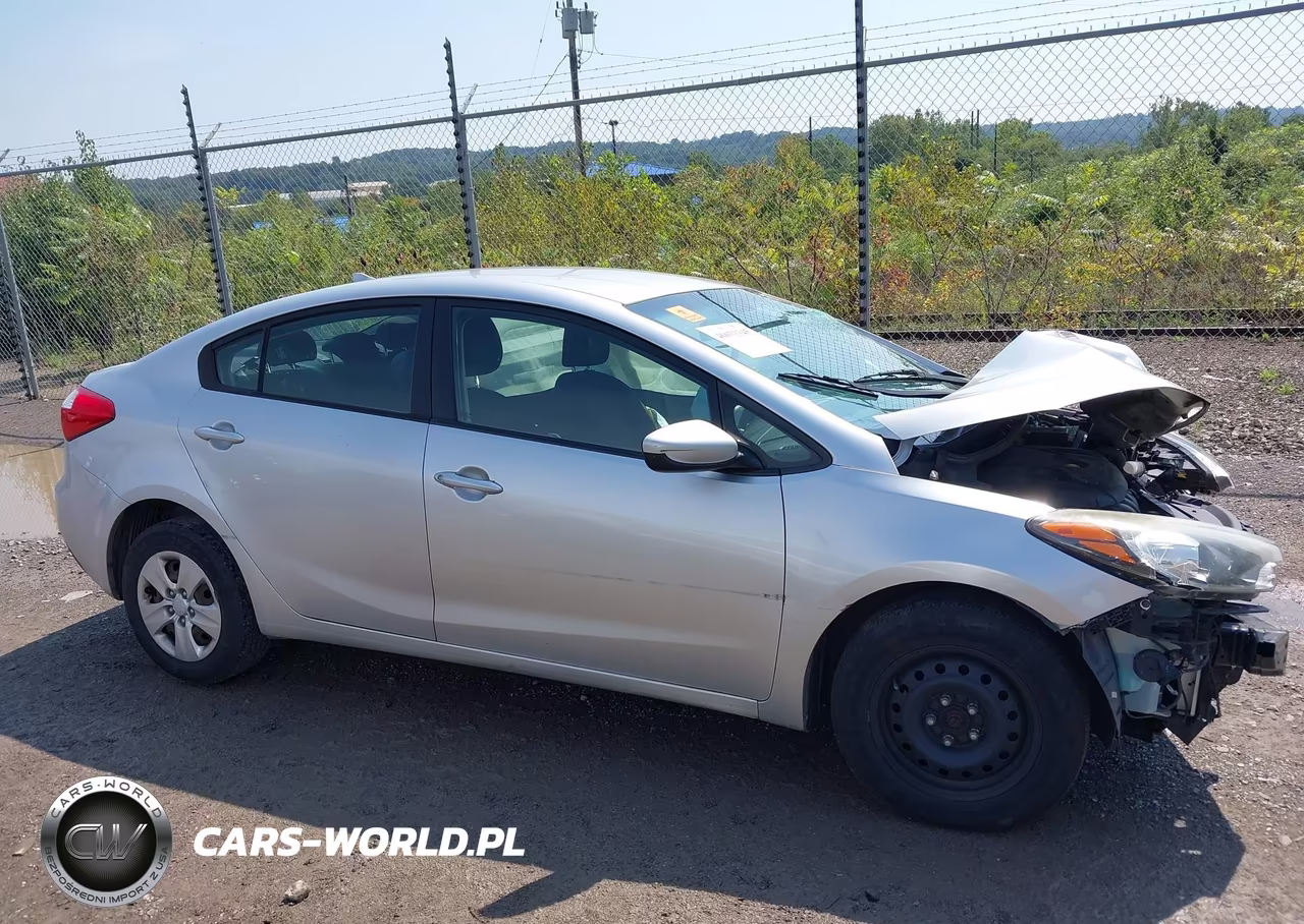 2014 Kia Forte Lx VIN:KNAFK4A6XE5184630 - 13