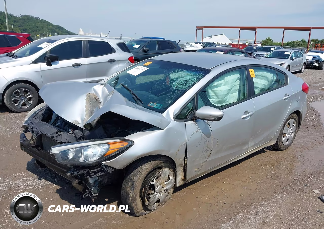 2014 Kia Forte Lx VIN:KNAFK4A6XE5184630 - 2