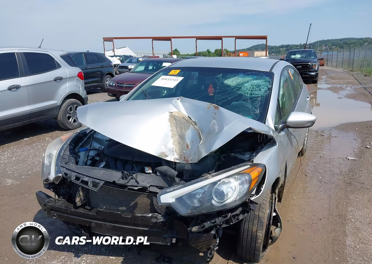 2014 Kia Forte Lx VIN:KNAFK4A6XE5184630 - 6