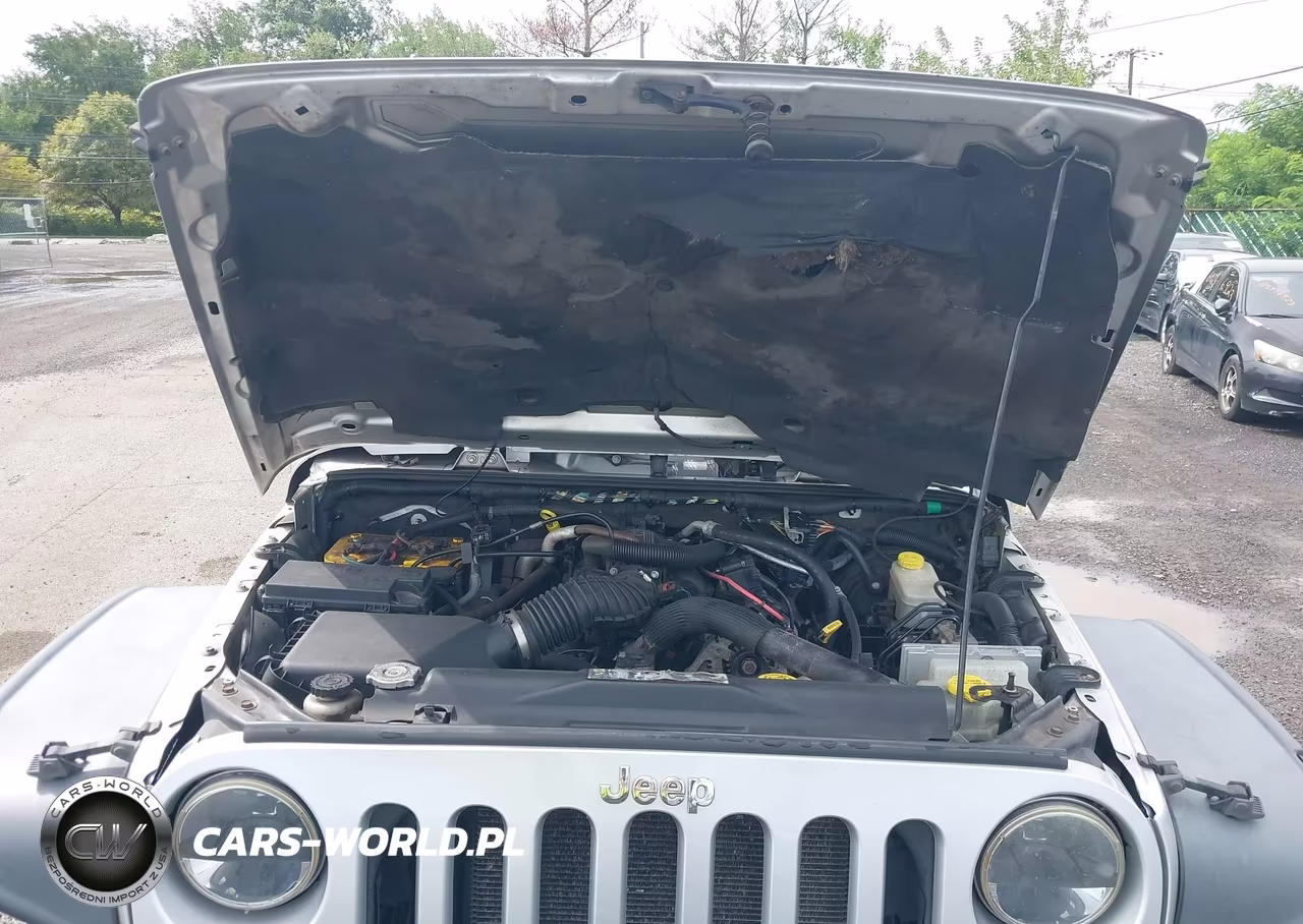 2011 Jeep Wrangler 70Th Anniversary VIN:1J4GA7D13BL579309 - 10