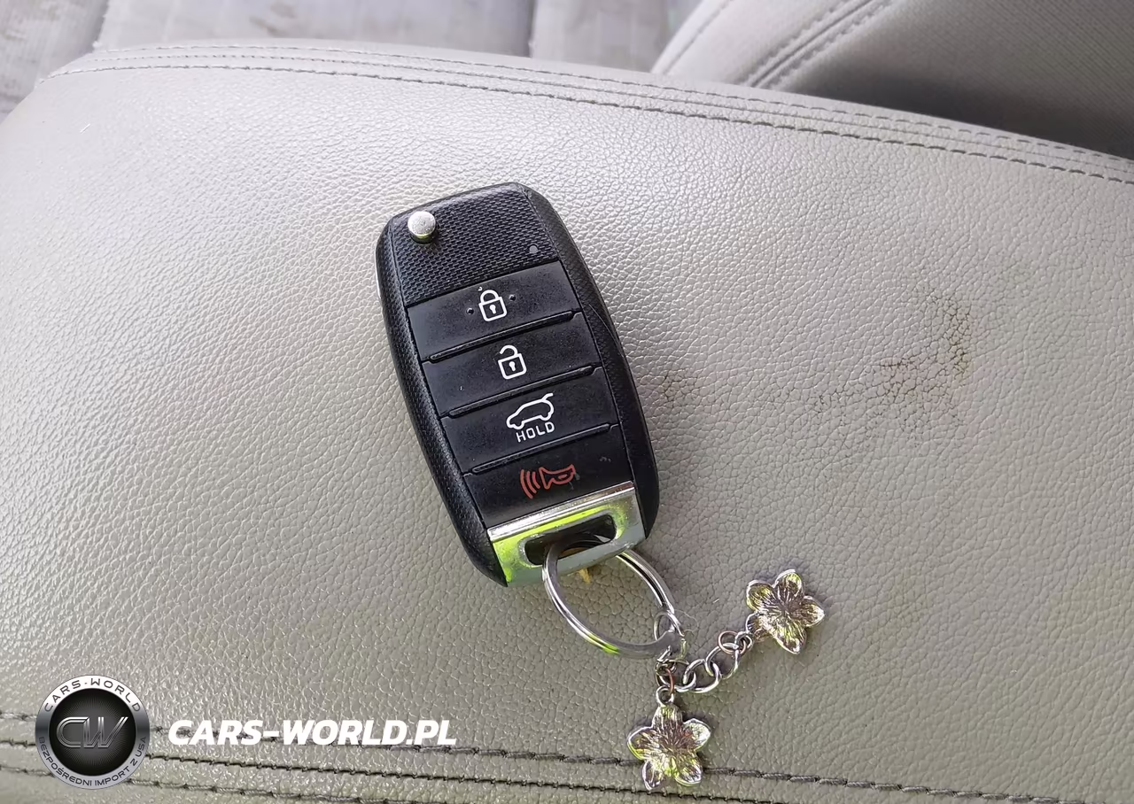 2019 Kia Sportage Lx VIN:KNDPM3ACXK7559885 - 11