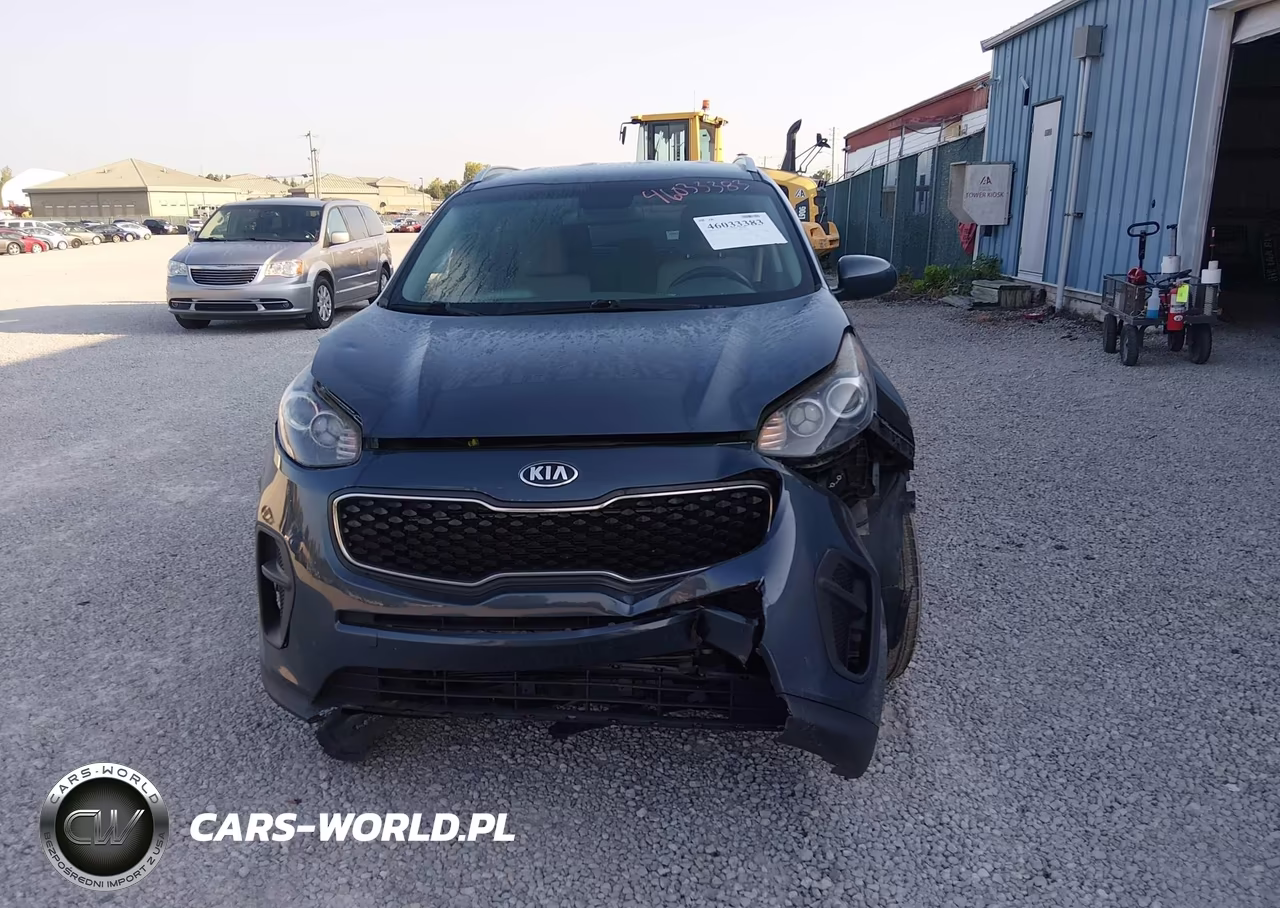 2019 Kia Sportage Lx VIN:KNDPM3ACXK7559885 - 12