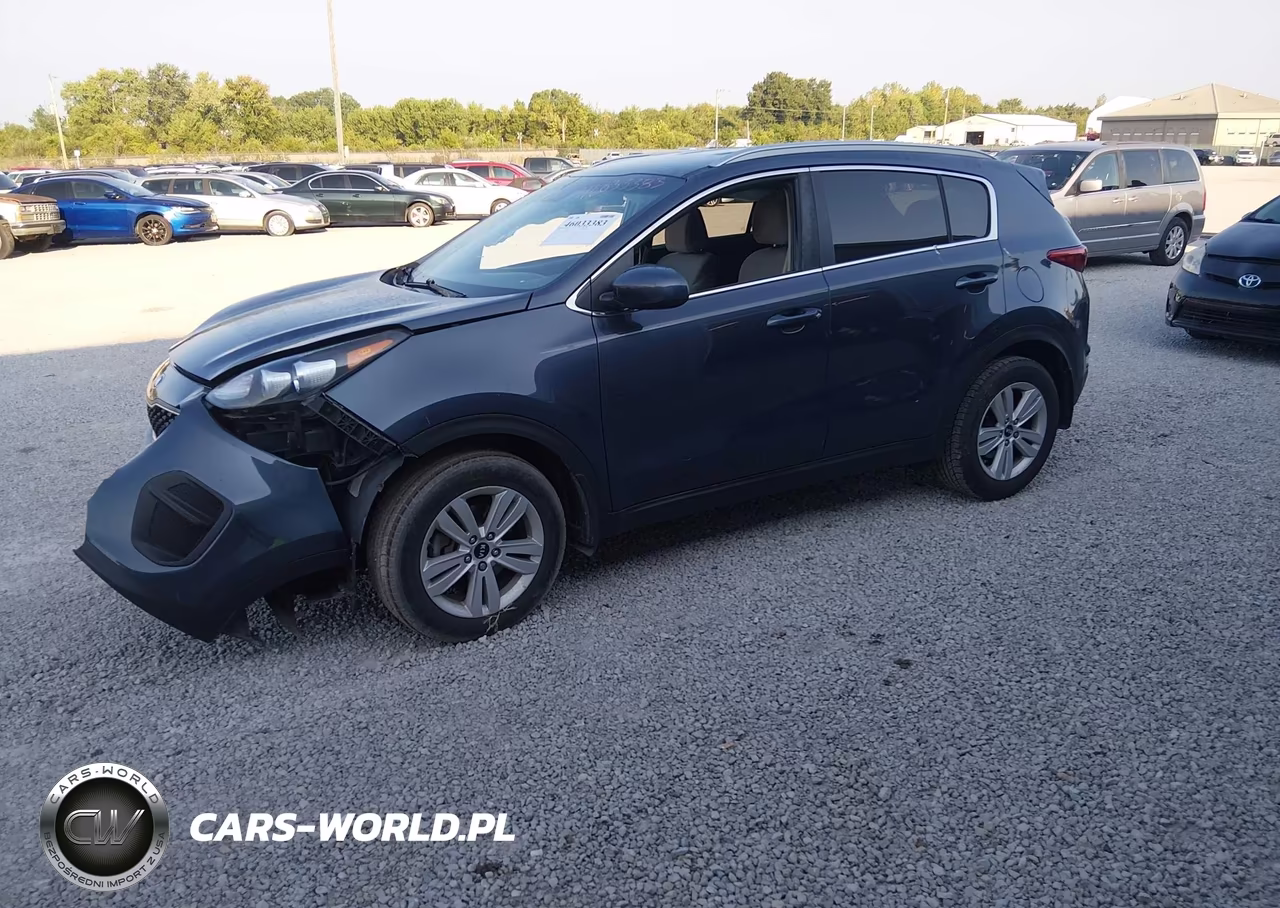 2019 Kia Sportage Lx VIN:KNDPM3ACXK7559885 - 2