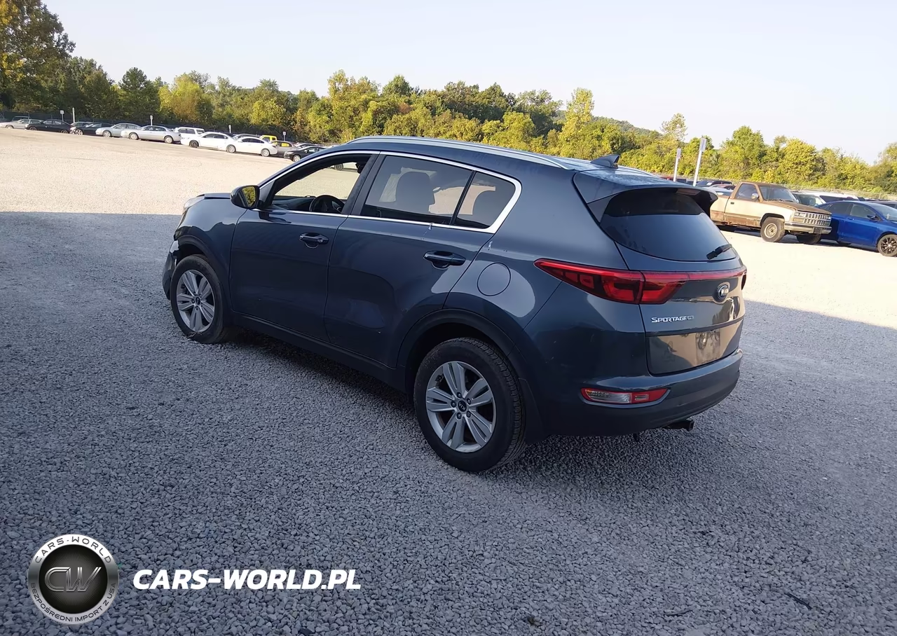 2019 Kia Sportage Lx VIN:KNDPM3ACXK7559885 - 3