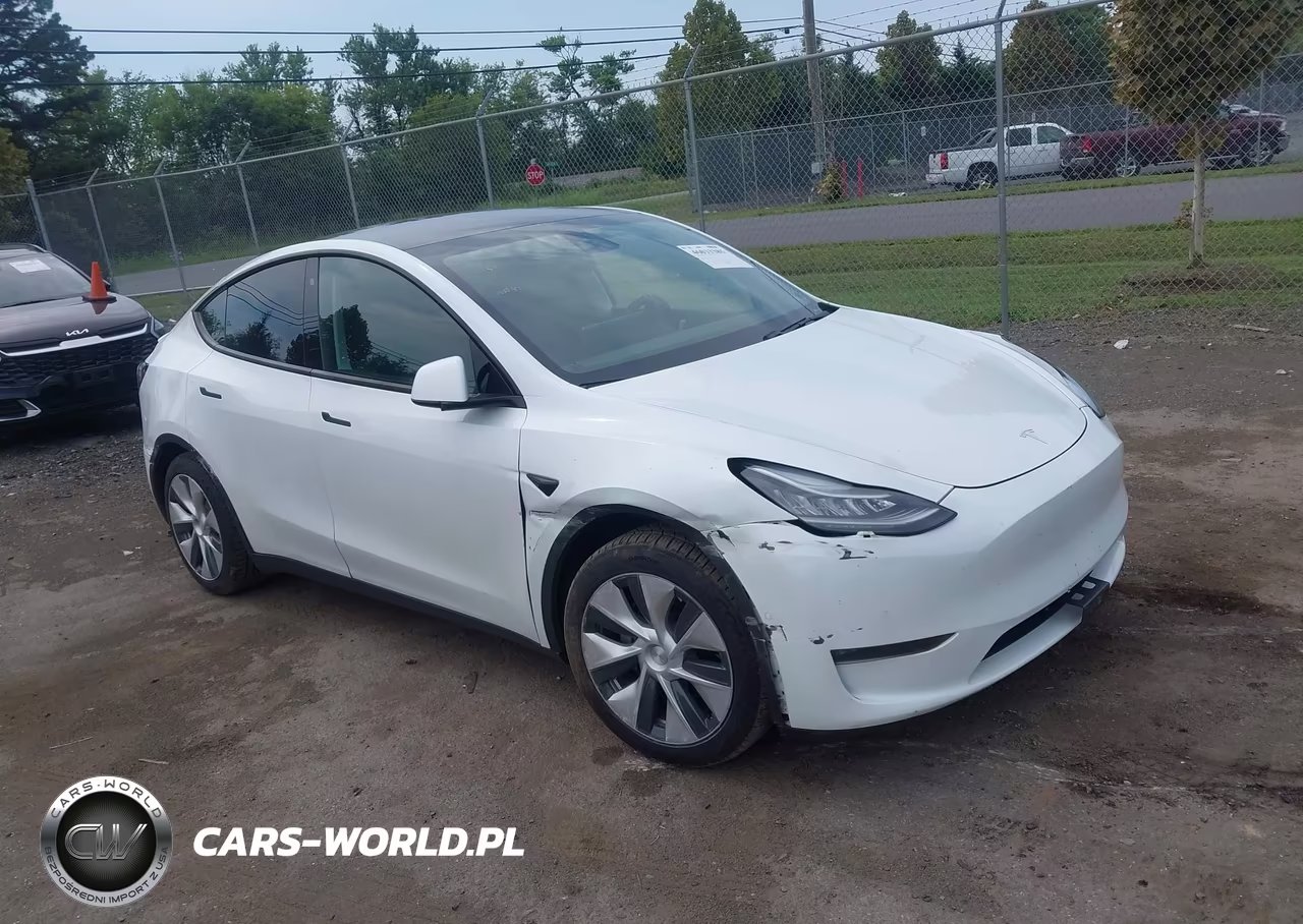 2020 Tesla Model Y Long Range Dual Motor All-Wheel Drive