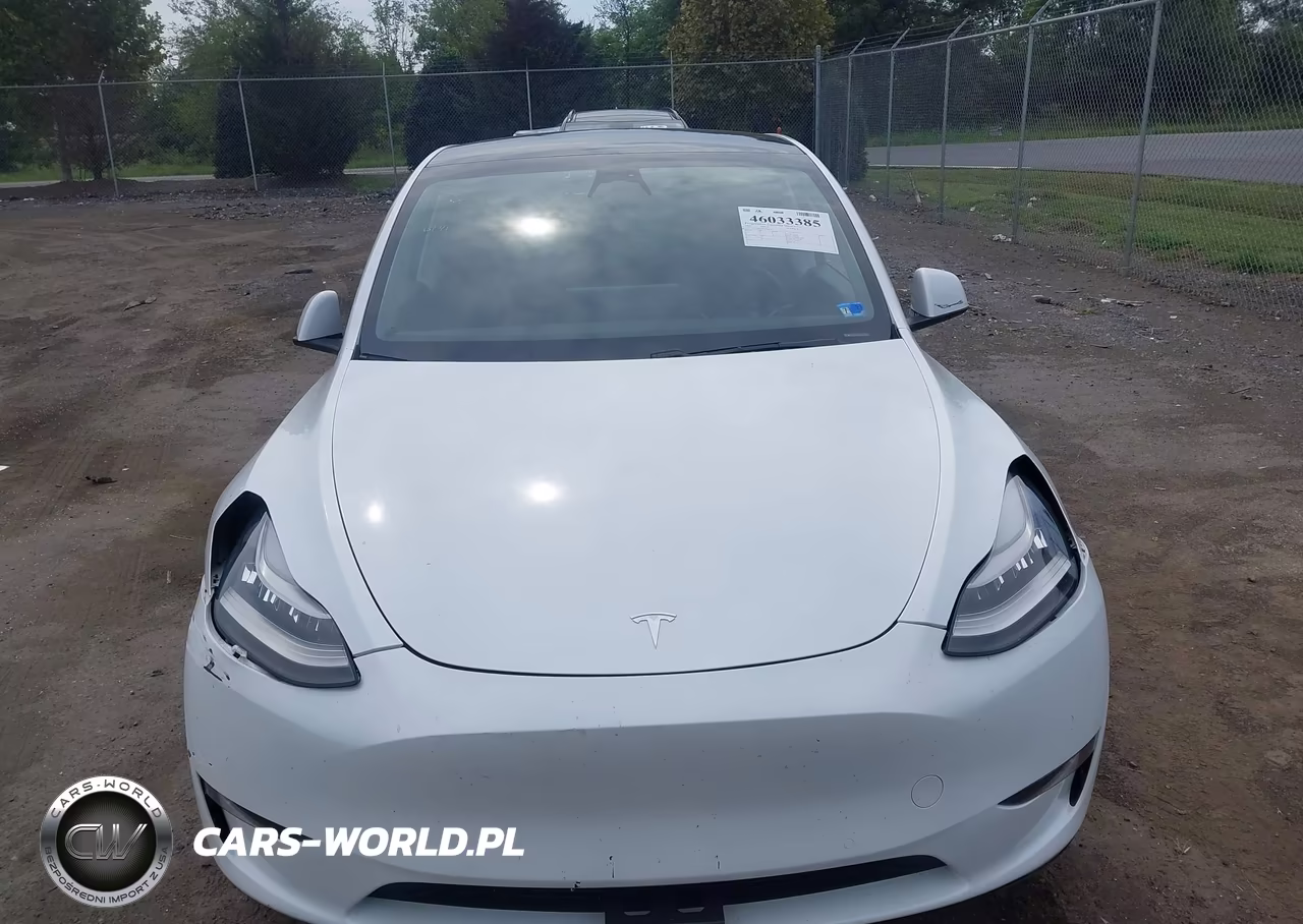 2020 Tesla Model Y Long Range Dual Motor All-Wheel Drive VIN:5YJYGDEEXLF024872 - 12