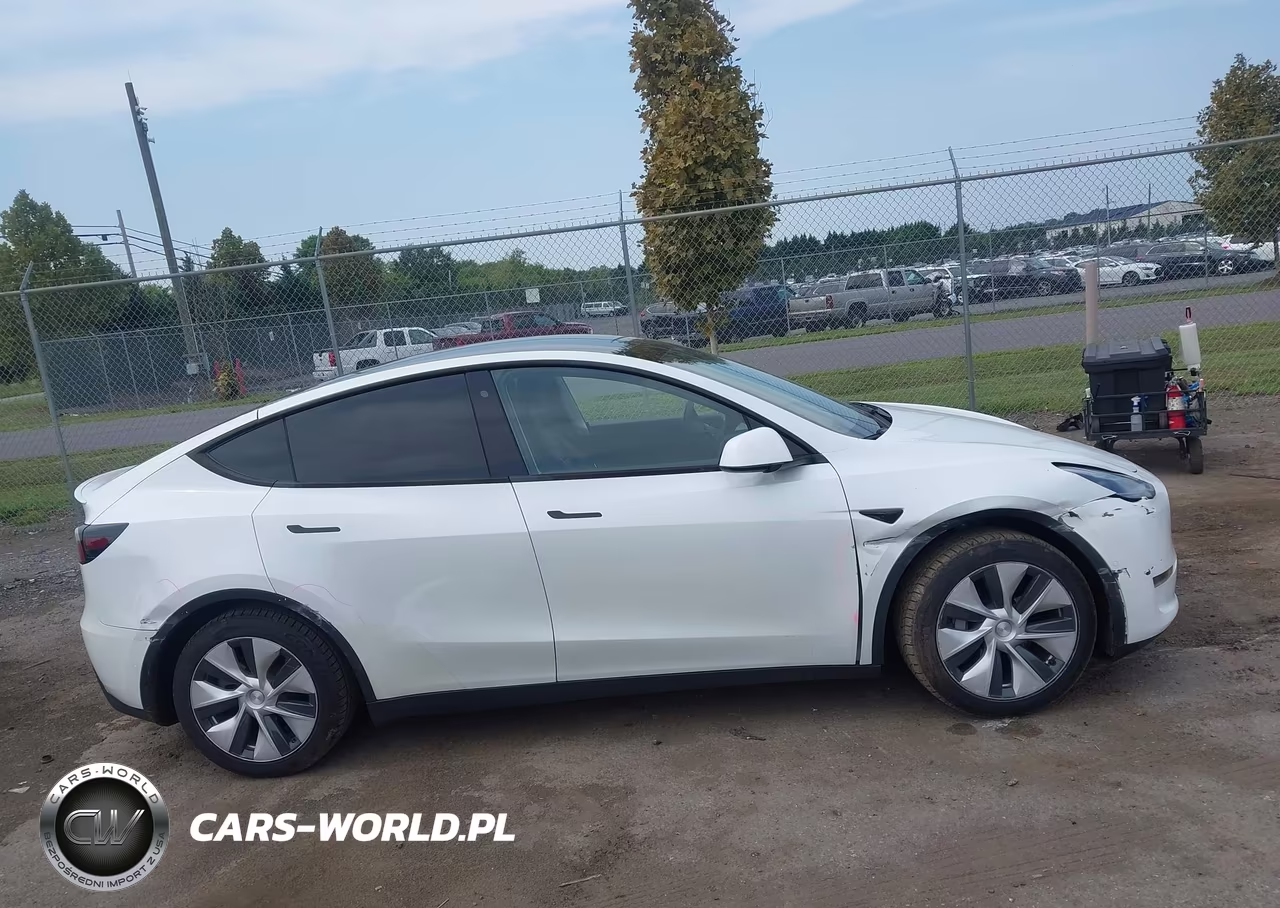2020 Tesla Model Y Long Range Dual Motor All-Wheel Drive VIN:5YJYGDEEXLF024872 - 13