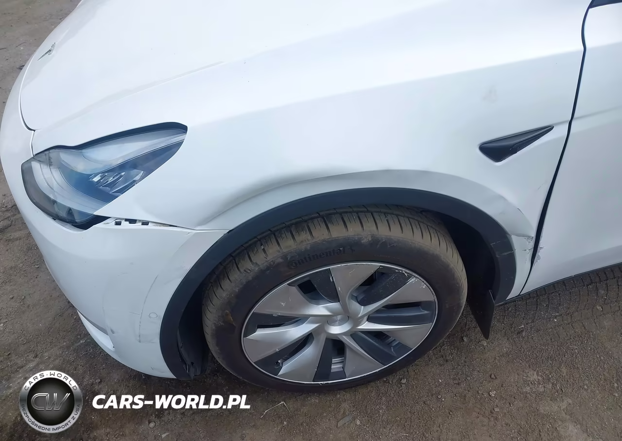 2020 Tesla Model Y Long Range Dual Motor All-Wheel Drive VIN:5YJYGDEEXLF024872 - 22