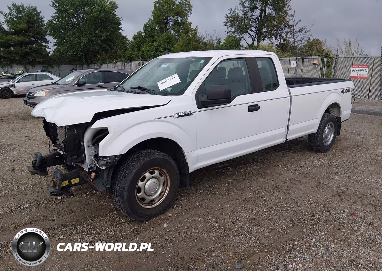 2020 Ford F-150 Xl VIN:1FTEX1E58LKE08766 - 2