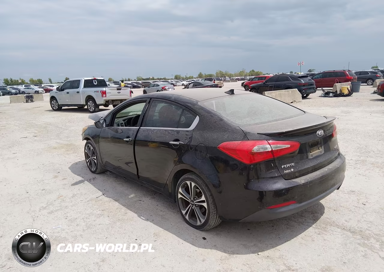 2014 Kia Forte Ex VIN:KNAFZ4A86E5059363 - 3