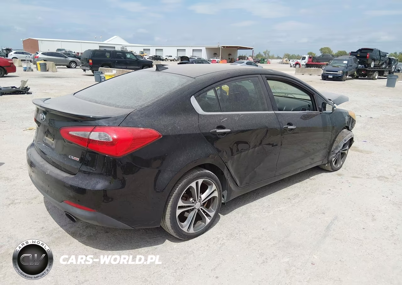 2014 Kia Forte Ex VIN:KNAFZ4A86E5059363 - 4
