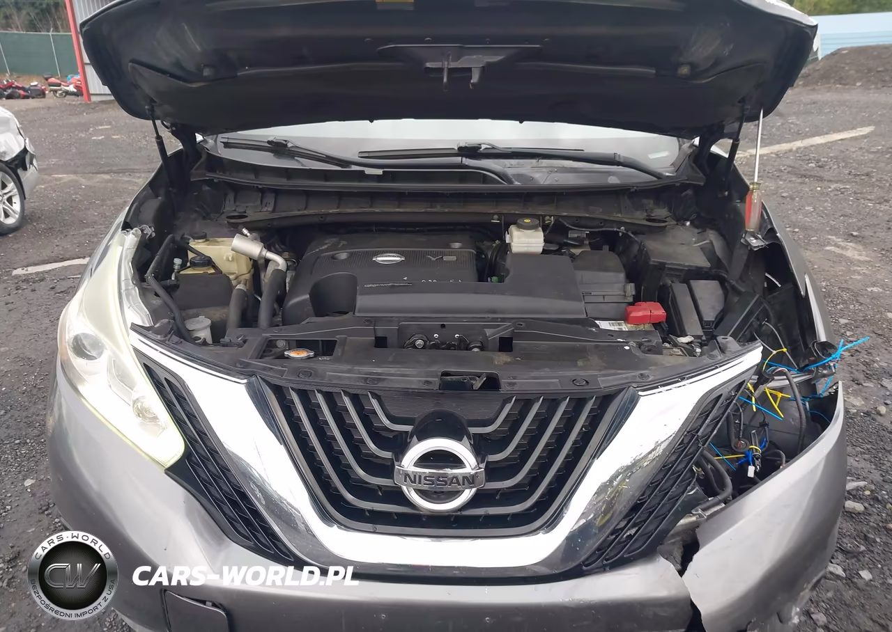 2015 Nissan Murano Platinum VIN:5N1AZ2MHXFN251203 - 10