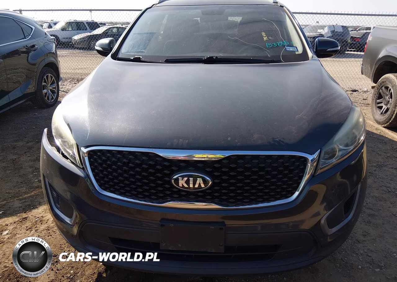 2016 Kia Sorento 2.4L Lx VIN:5XYPG4A32GG146012 - 12