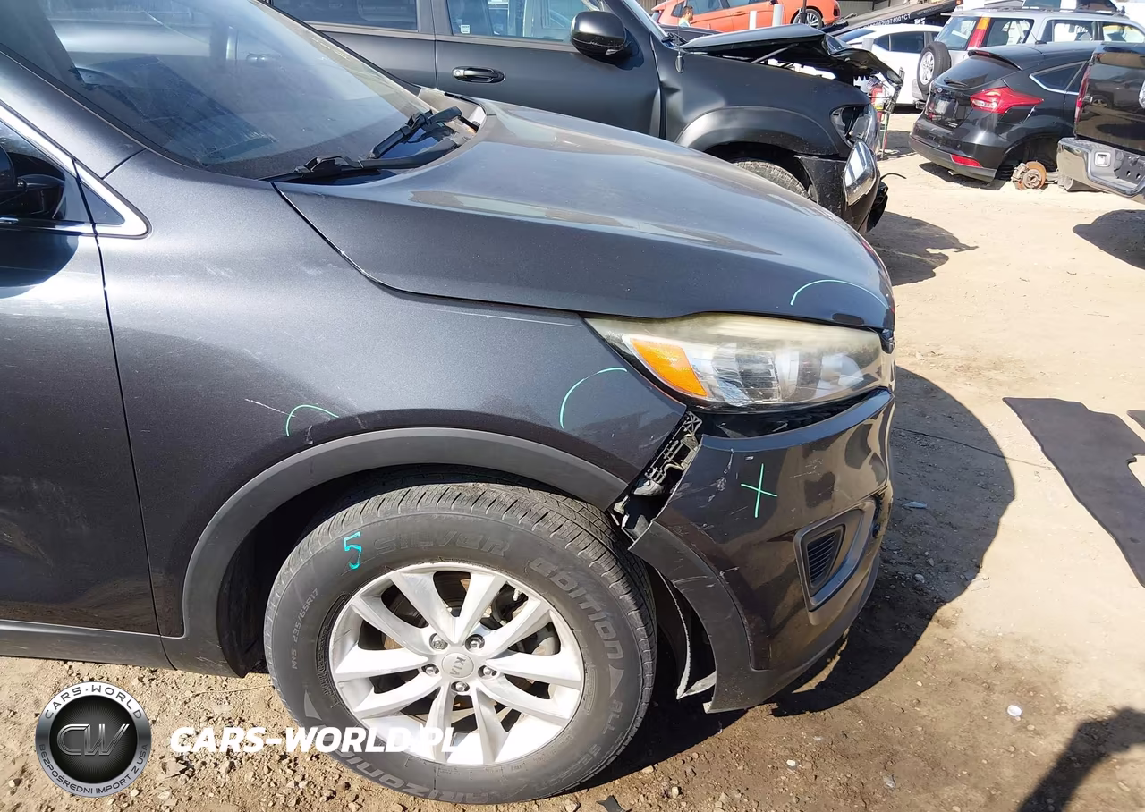 2016 Kia Sorento 2.4L Lx VIN:5XYPG4A32GG146012 - 6