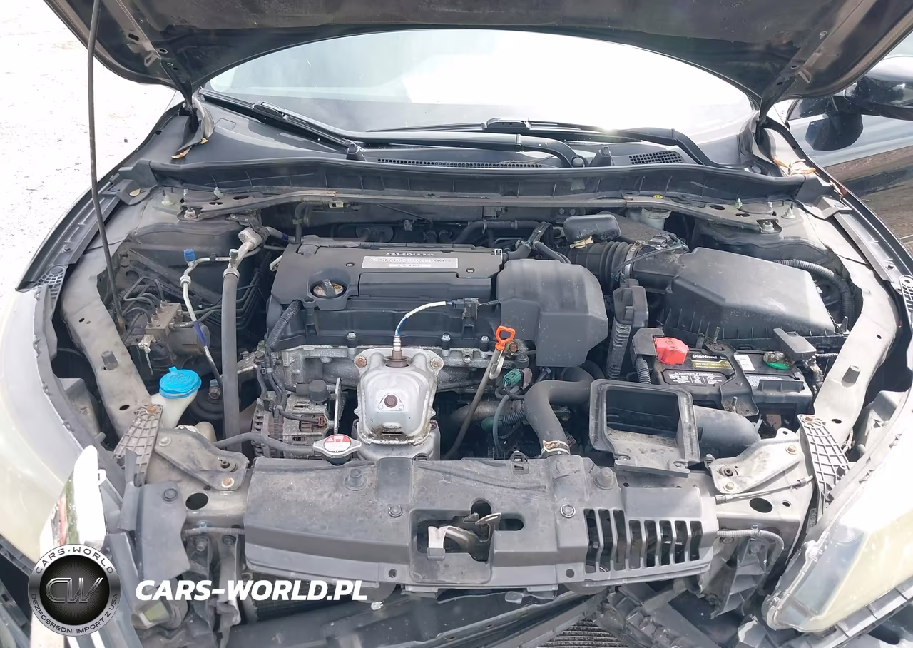 2013 Honda Accord Ex-L VIN:1HGCR2F85DA264666 - 10