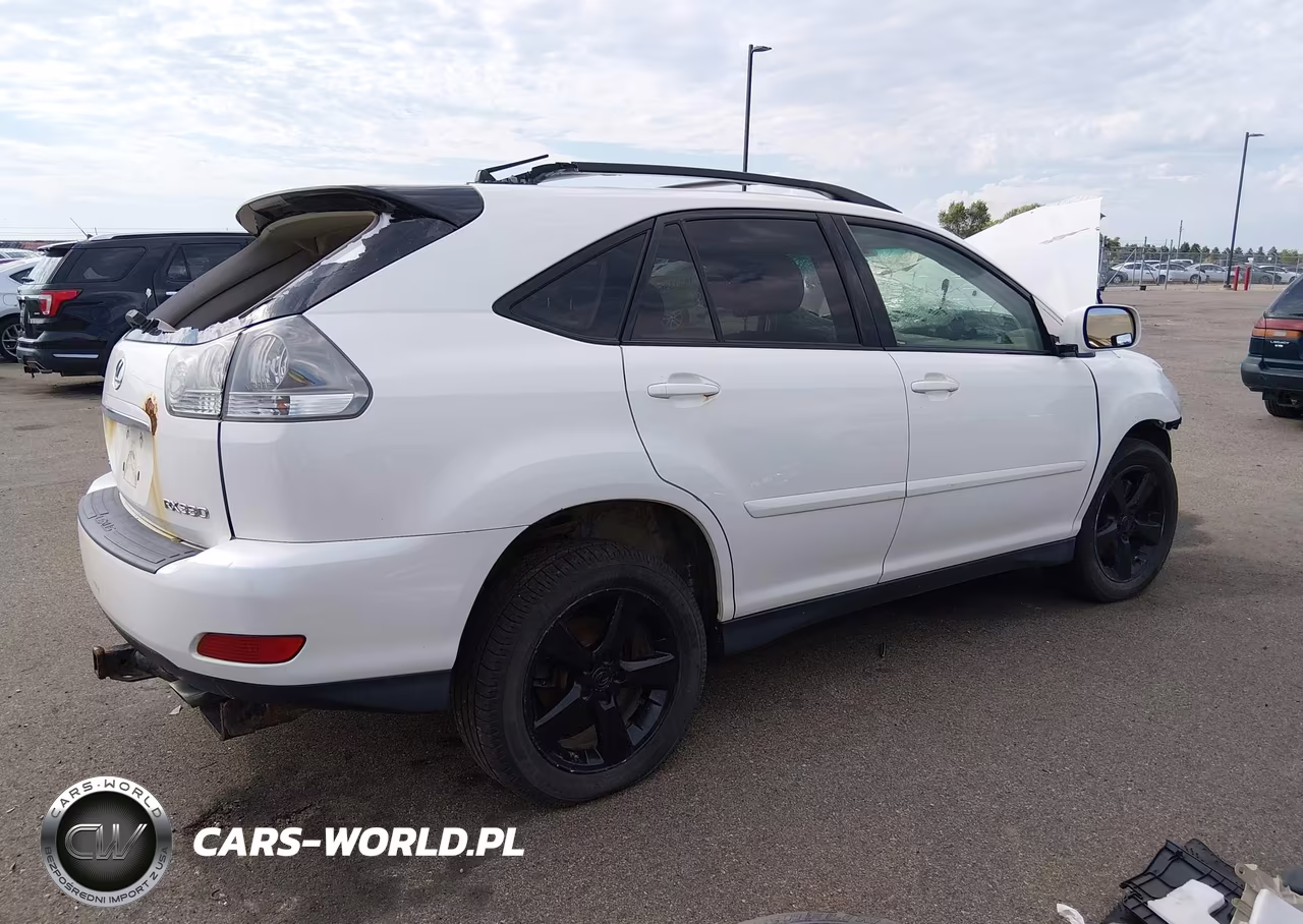 2004 Lexus Rx 330 VIN:JTJHA31U740044776 - 4