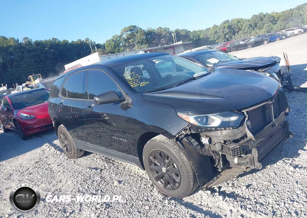 2019 Chevrolet Equinox Ls VIN:2GNAXHEV8K6305976 - 13