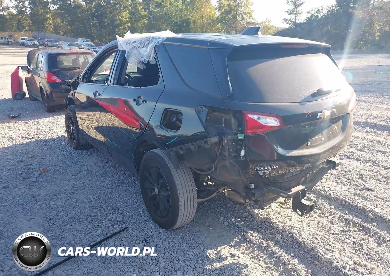 2019 Chevrolet Equinox Ls VIN:2GNAXHEV8K6305976 - 3
