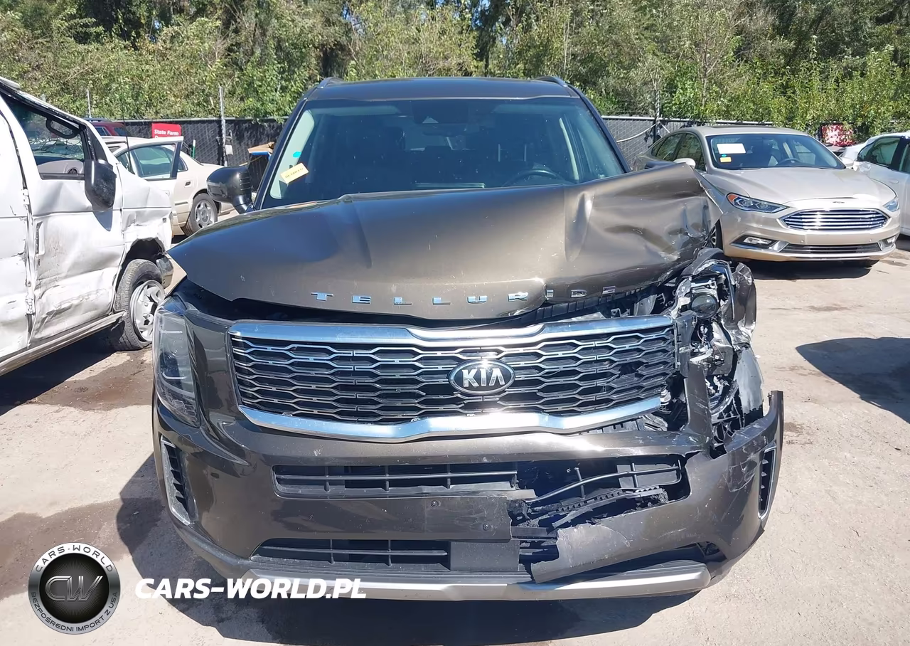 2020 Kia Telluride Ex VIN:5XYP3DHC7LG020319 - 12