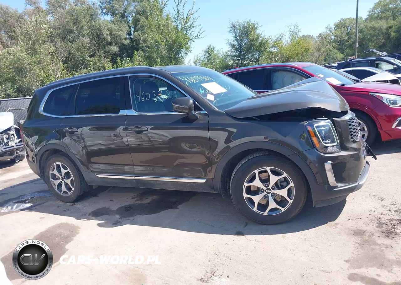2020 Kia Telluride Ex VIN:5XYP3DHC7LG020319 - 13