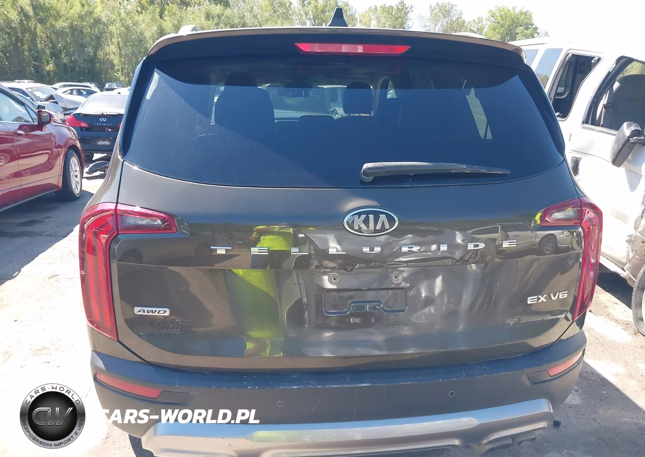 2020 Kia Telluride Ex VIN:5XYP3DHC7LG020319 - 16