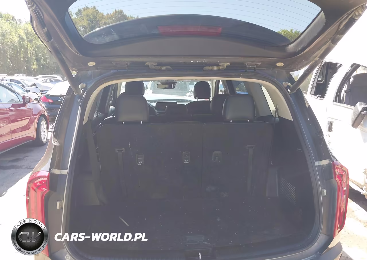 2020 Kia Telluride Ex VIN:5XYP3DHC7LG020319 - 17
