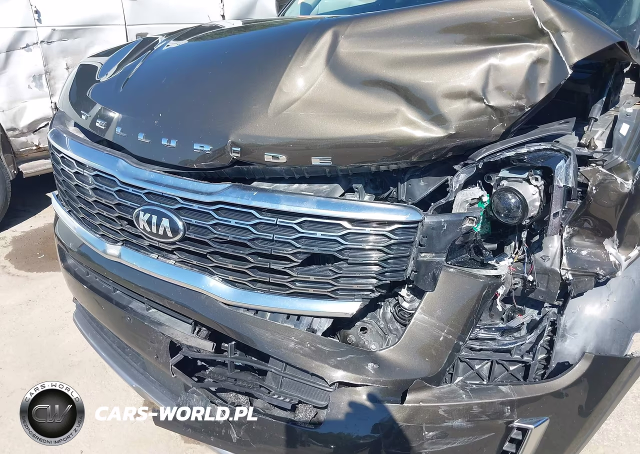 2020 Kia Telluride Ex VIN:5XYP3DHC7LG020319 - 18