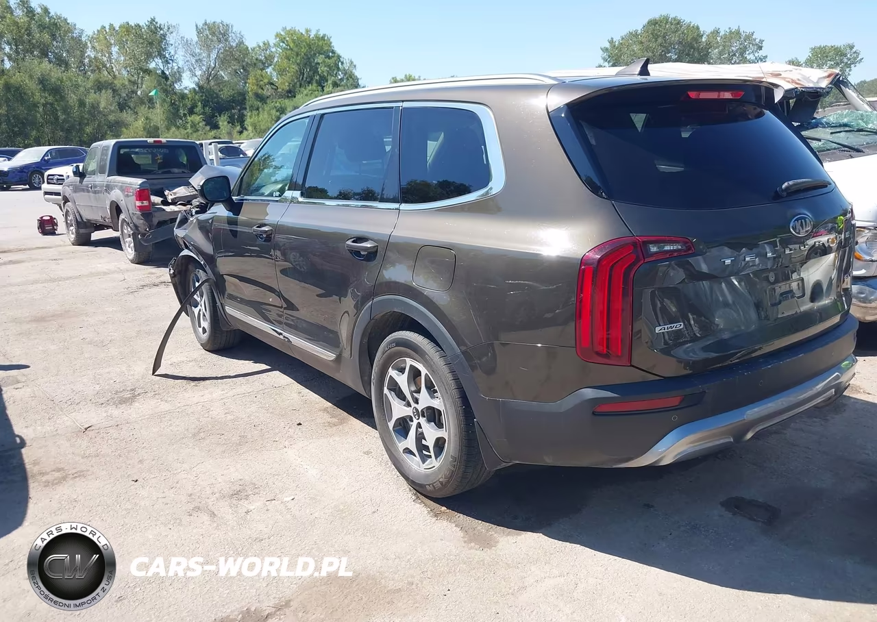 2020 Kia Telluride Ex VIN:5XYP3DHC7LG020319 - 3