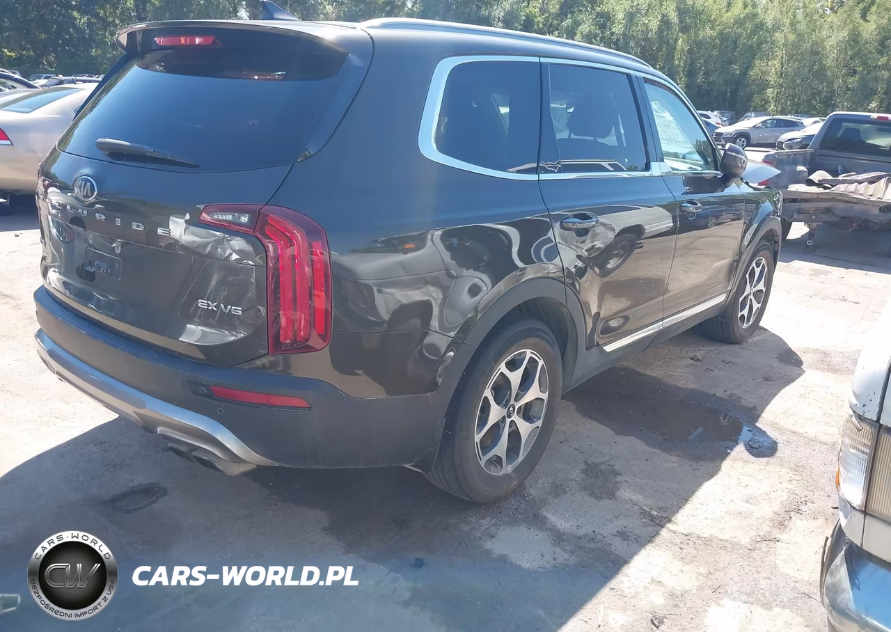 2020 Kia Telluride Ex VIN:5XYP3DHC7LG020319 - 4
