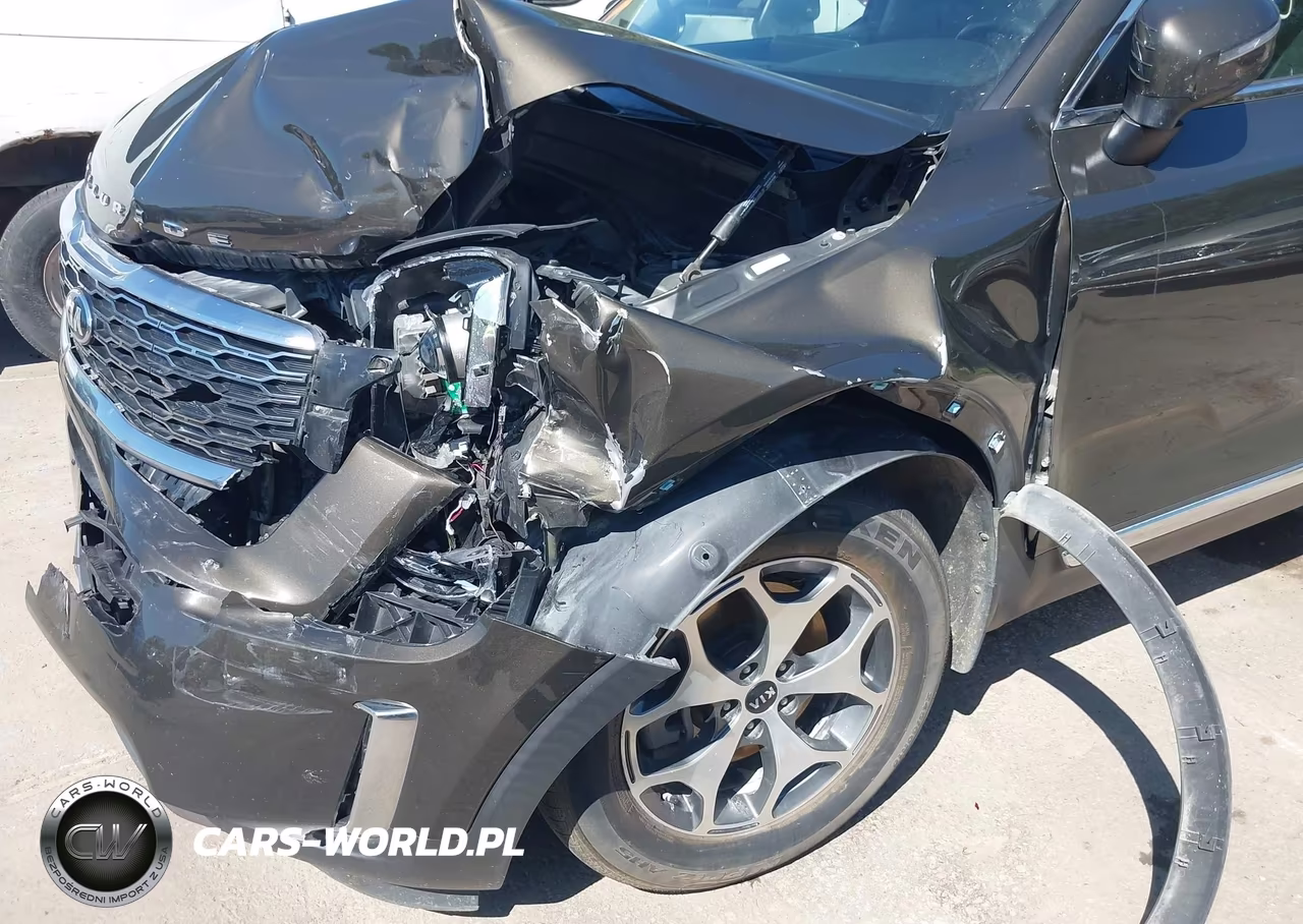 2020 Kia Telluride Ex VIN:5XYP3DHC7LG020319 - 6