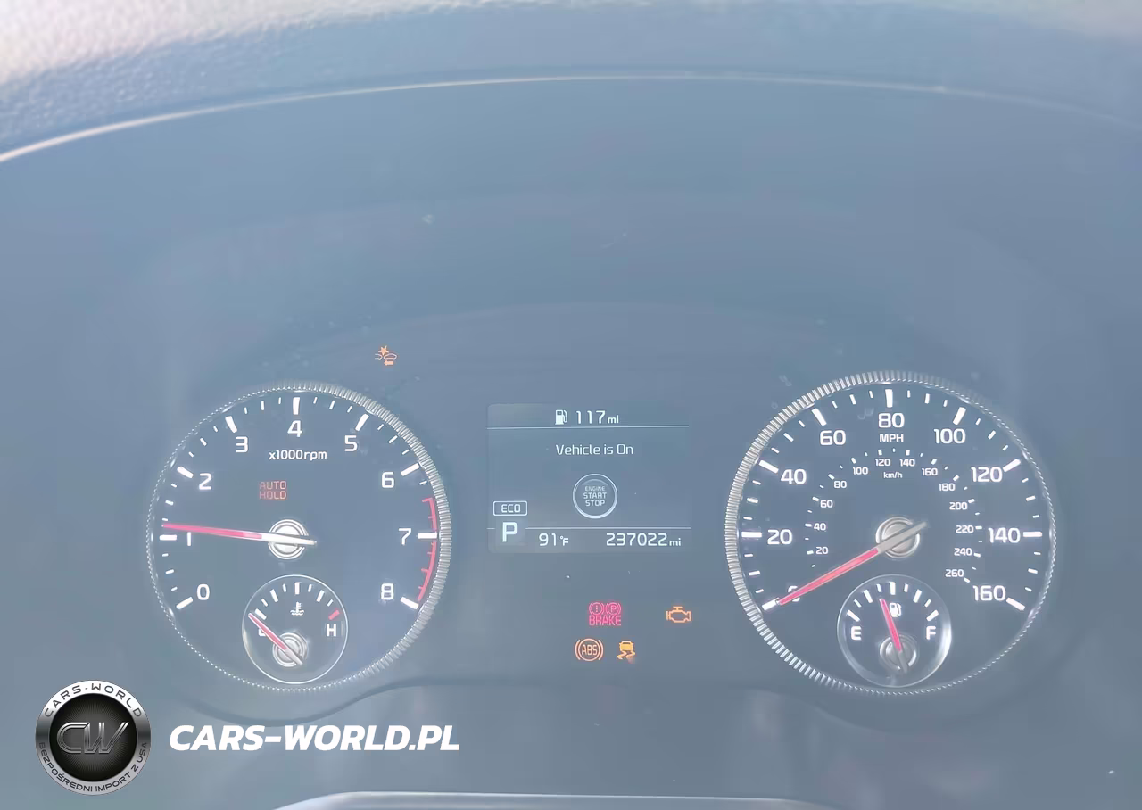 2020 Kia Telluride Ex VIN:5XYP3DHC7LG020319 - 7