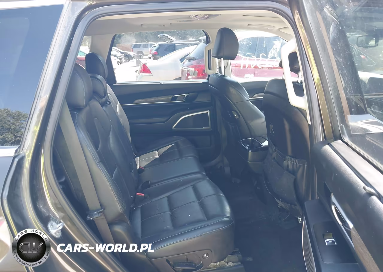 2020 Kia Telluride Ex VIN:5XYP3DHC7LG020319 - 8