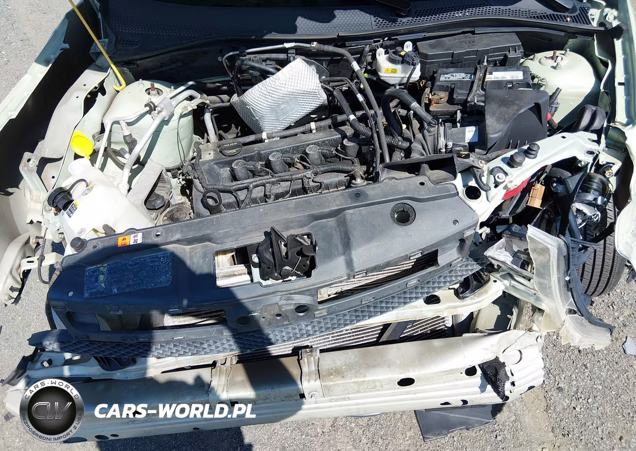 2010 Ford Focus S VIN:1FAHP3EN0AW150098 - 10