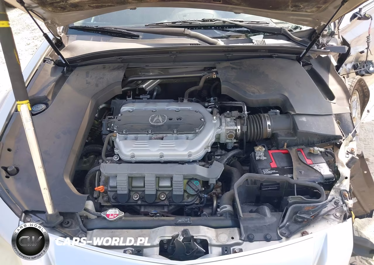 2010 Acura Tl 3.5 VIN:19UUA8F29AA003739 - 10
