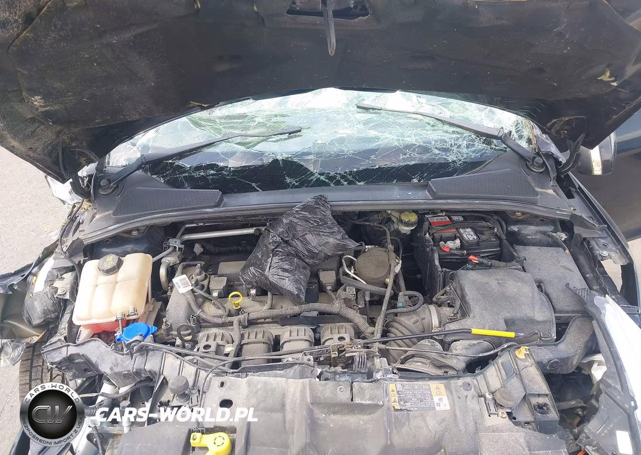 2016 Ford Focus Se VIN:1FADP3K20GL203871 - 10