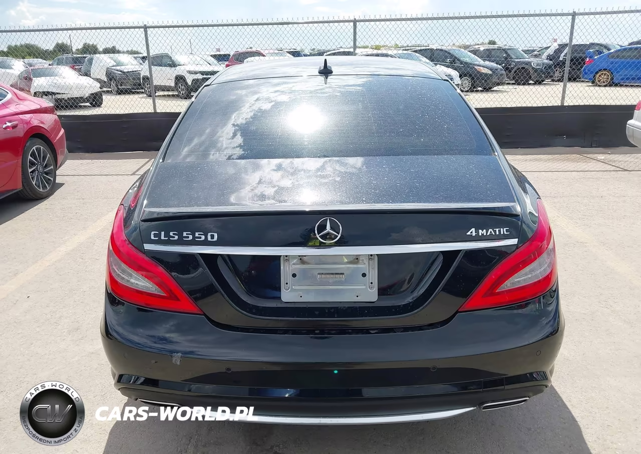 2013 Mercedes-Benz Cls 550 4Matic VIN:WDDLJ9BB4DA063198 - 16