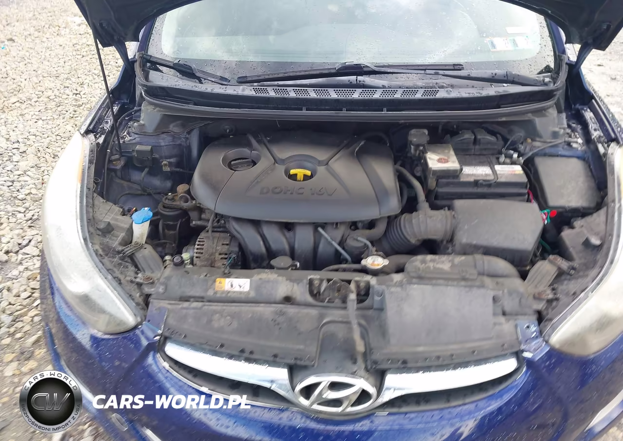 2013 Hyundai Elantra Gls VIN:5NPDH4AE6DH355100 - 10