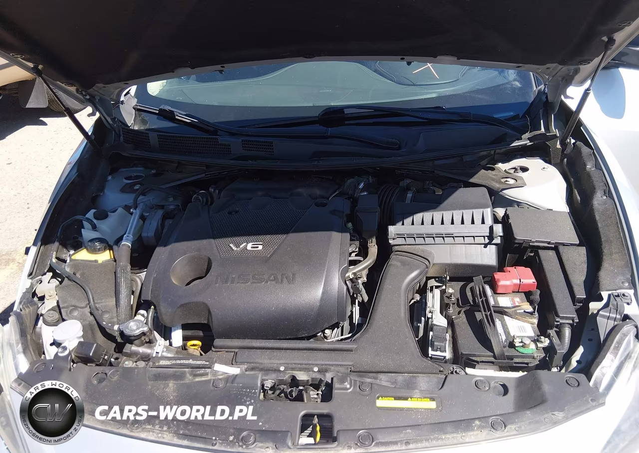 2017 Nissan Maxima 3.5 Sl VIN:1N4AA6AP6HC368795 - 10