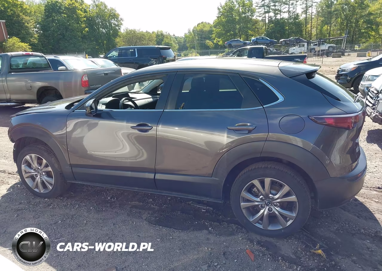 2021 Mazda Cx-30 Preferred VIN:3MVDMBCL2MM216425 - 15