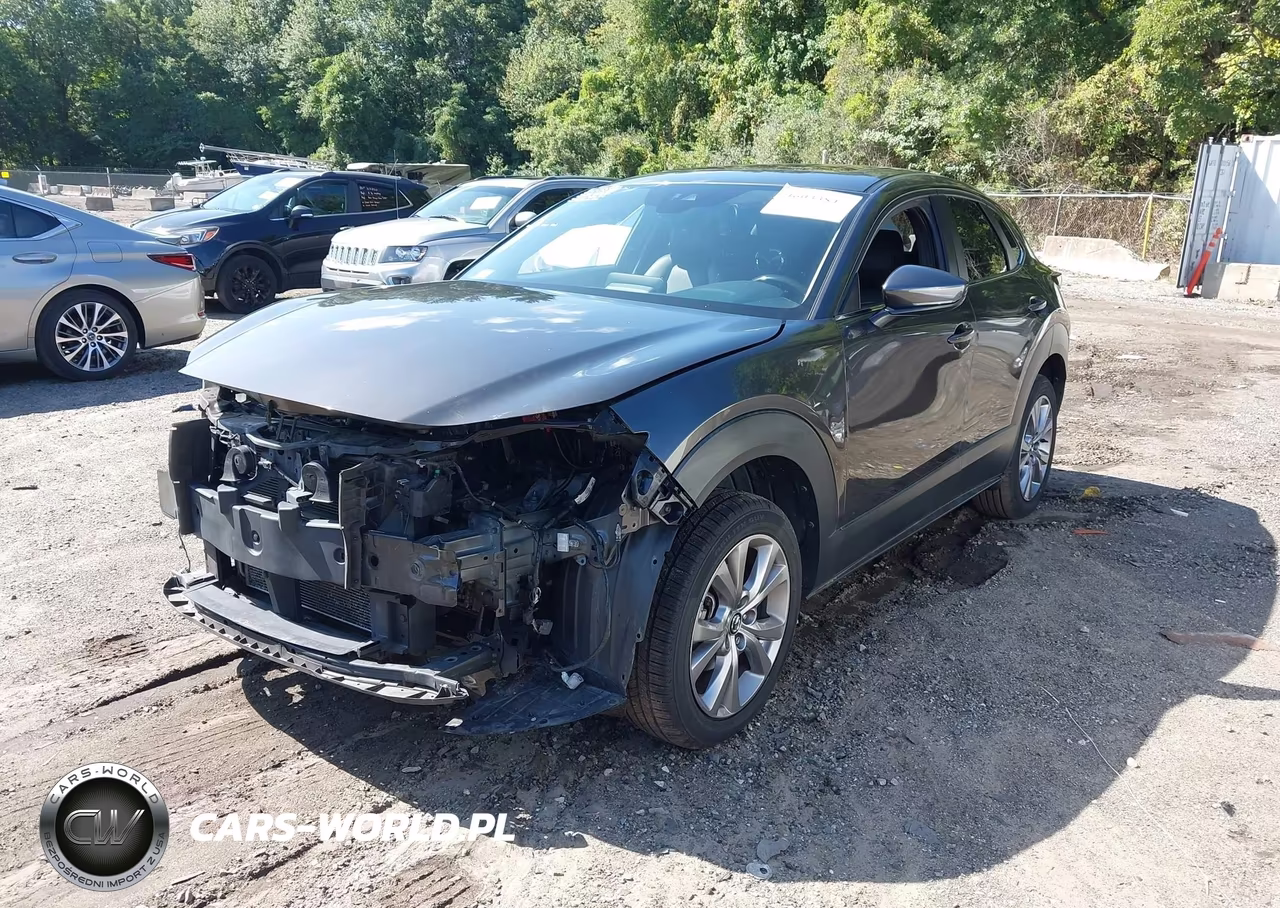 2021 Mazda Cx-30 Preferred VIN:3MVDMBCL2MM216425 - 2