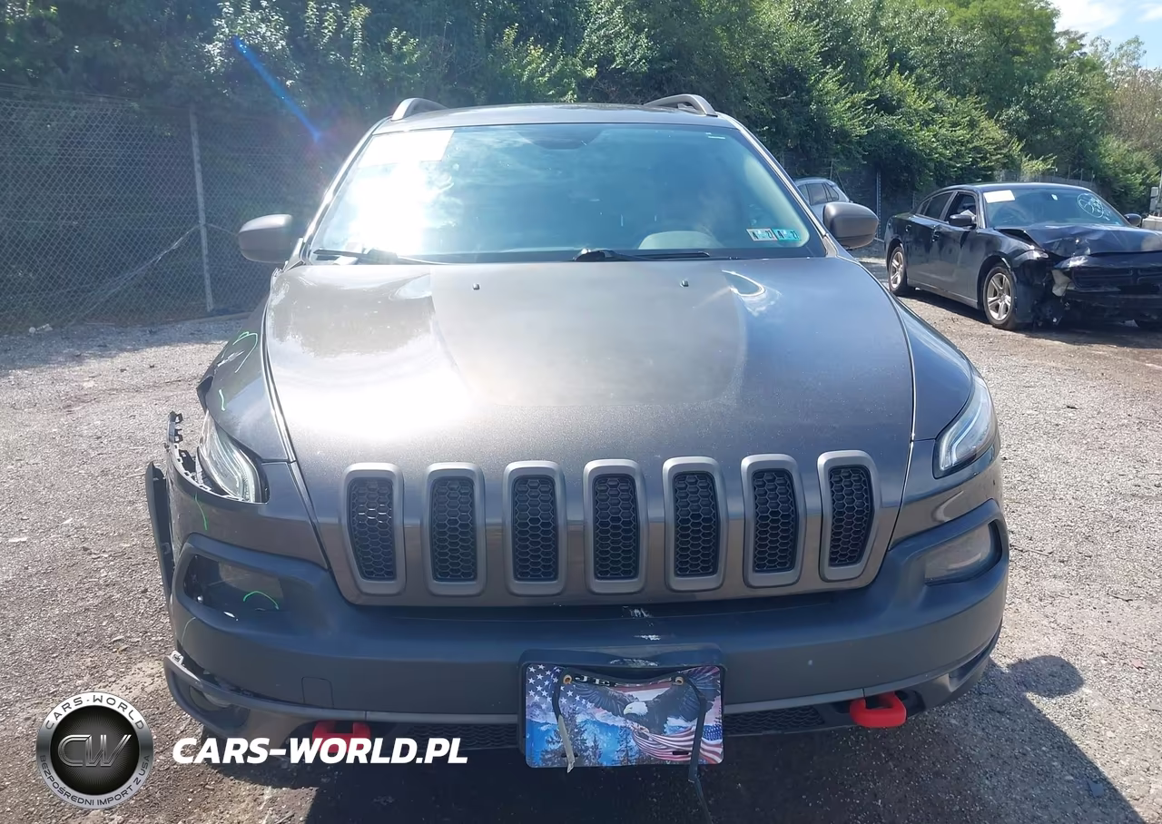2014 Jeep Cherokee Trailhawk VIN:1C4PJMBB9EW160691 - 10
