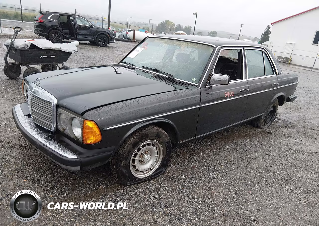 1985 Mercedes-Benz 300 Dt VIN:WDBAB33C1FA211151 - 2