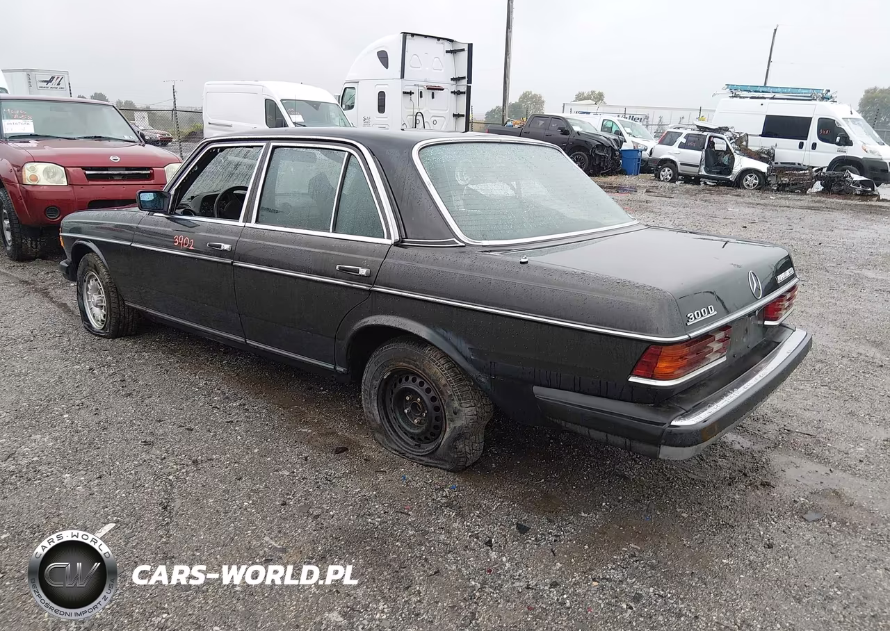 1985 Mercedes-Benz 300 Dt VIN:WDBAB33C1FA211151 - 3