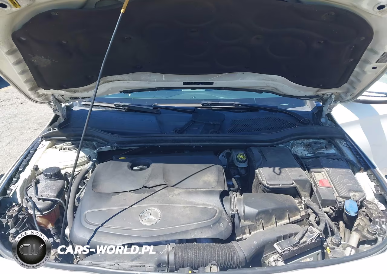 2017 Mercedes-Benz Cla 250 VIN:WDDSJ4EB4HN467661 - 10