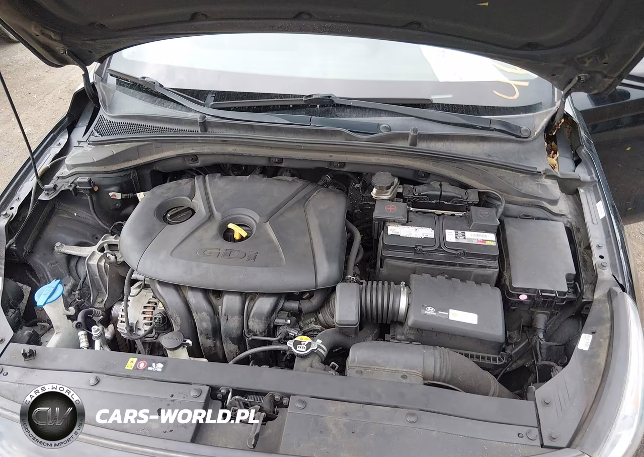 2019 Hyundai Elantra Gt VIN:KMHH35LE4KU100026 - 10