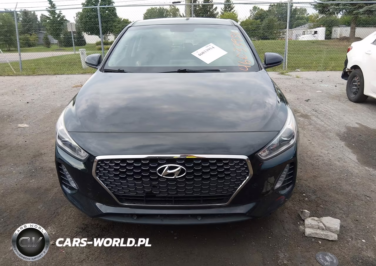 2019 Hyundai Elantra Gt VIN:KMHH35LE4KU100026 - 12