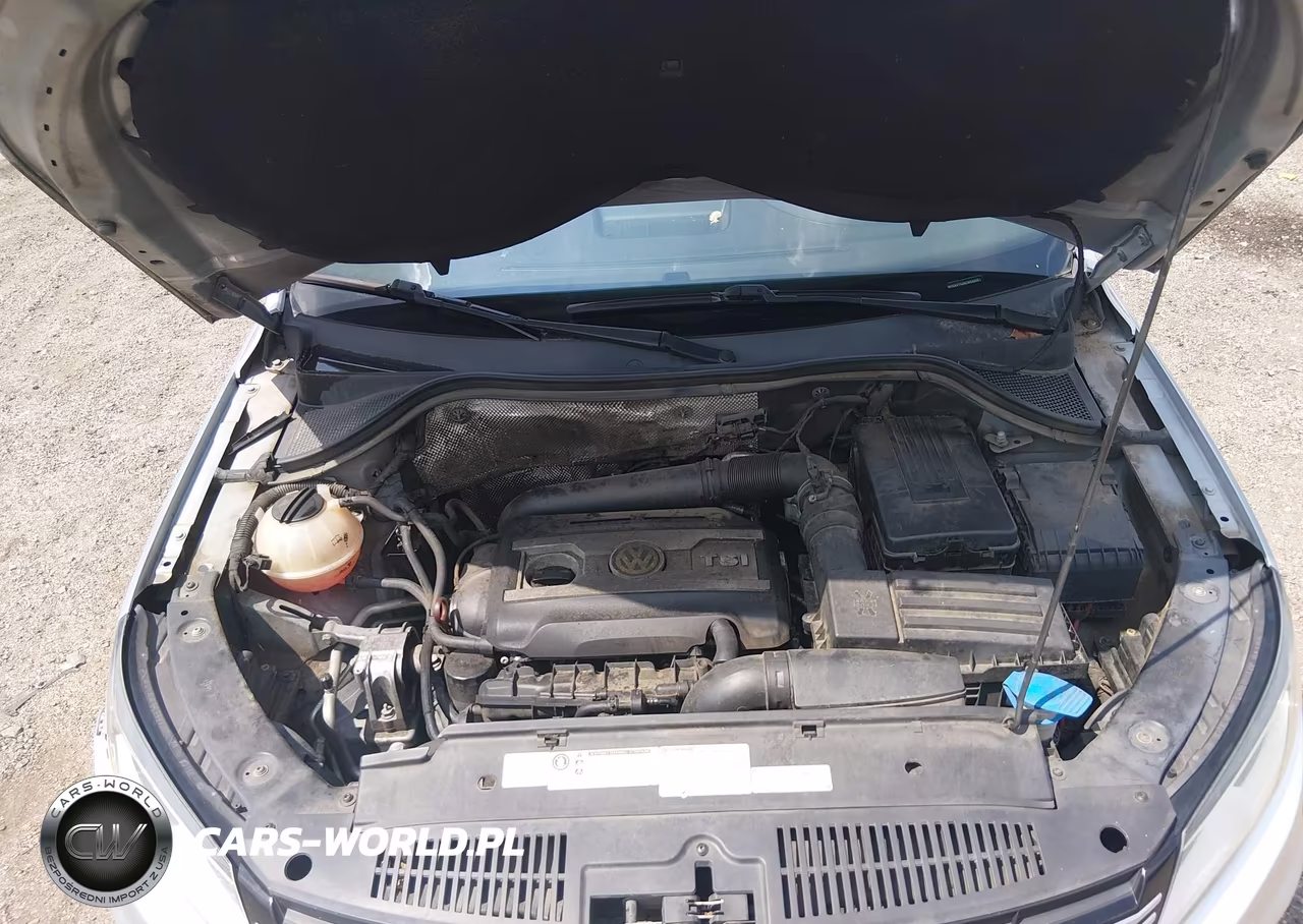 2012 Volkswagen Tiguan Le VIN:WVGAV7AX0CW560057 - 10