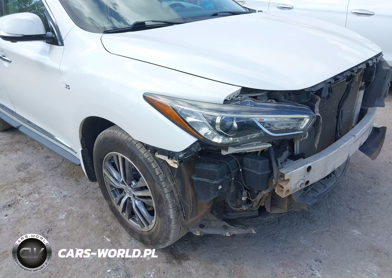 2017 Infiniti Qx60 VIN:5N1DL0MM0HC510599 - 19